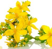 St. John's wort to boost potency