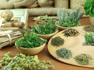 Herbs for the treatment of impotence