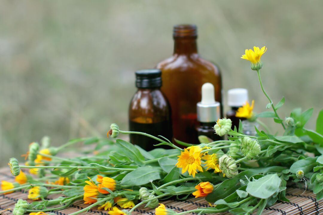 Helenium a popular remedy for sexual arousal with reduced potency