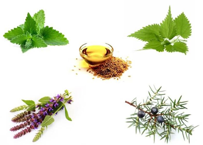 Mint, ortiga, thyme, juniper and flaxseed oil